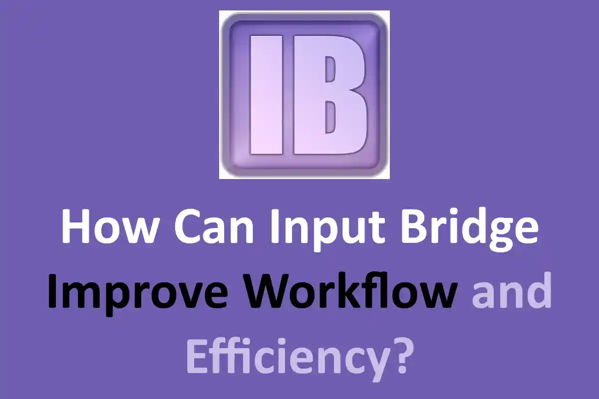 How Can Input Bridge Improve Workflow and Efficiency?